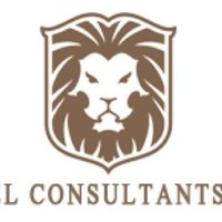 Ariel Consulants LLC