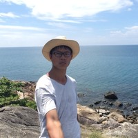 王道南