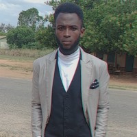 Gabriel Arhin