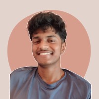 Dibyo J Paul