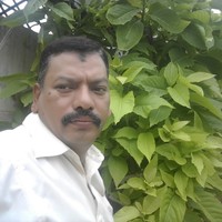 Arif Hussain