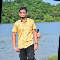Robin Sarkar