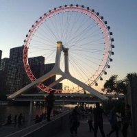 张林虎