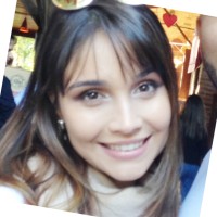 Rebeca Fernandes Javarotti