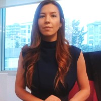 Bircan Kirişak