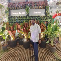 Moorthi Beeman