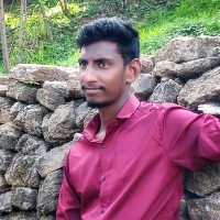 Balaji P