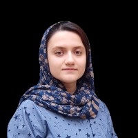 Mahsa Ghonchehei