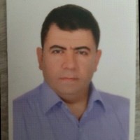 Mohamed Sadek