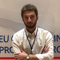 Mikheil Suluashvili, Ica