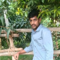 Arkesh C N