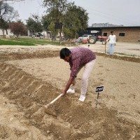 Nagendra Kaku