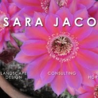 Sara Jacoby