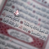 Fatima Ahmed
