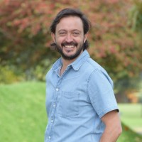 Pedro Felipe Linares