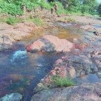 云中飞