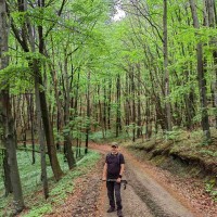 Dražen Šarić