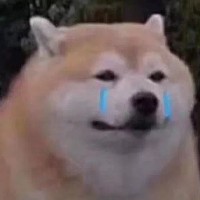 王开妍