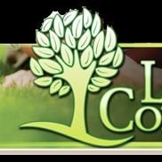 Lawn Connections of Keller