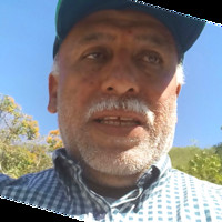 Reinaldo Seguro Seguro