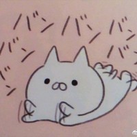 蔡雅诗
