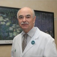 José Vicente Roig-Vila