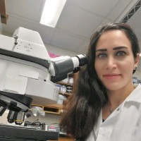 Farnoosh Haghighi