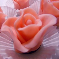Sweetable Eatables, llc