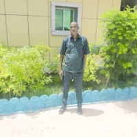 Mustafe Cali Cabdi