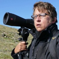 Jen Brumfield