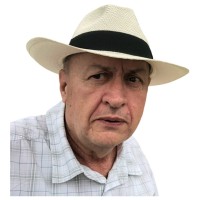 Damir Pavlisko