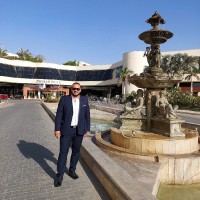 Emad Farouk