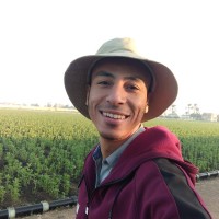 Abdelrahman Amer