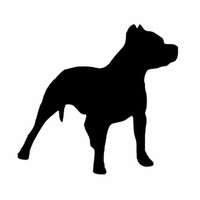Dog Training