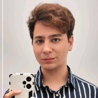 Navid Kamali Lassem