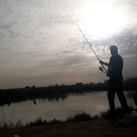 Mehrdad Dinarvand