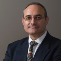 David Zipparo