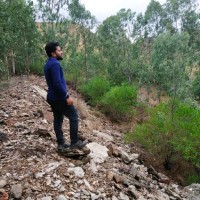 Vinay H M