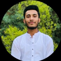 Muhammad Anees