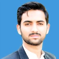 Mir Hussain Sultan