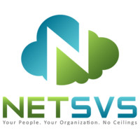 Net Synergy Virtual Solutions