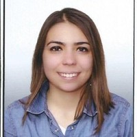 Gökçe Akin Akgül