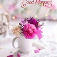 Vivek Pandey