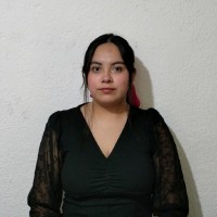 Diana Laura Alvarado Domínguez