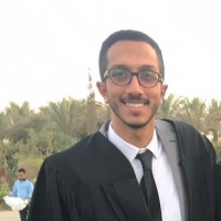 Mohamed Maged Elgamal