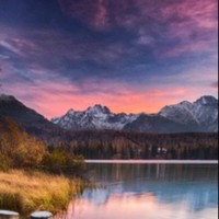 陈振溪