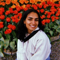 Arshia Gill