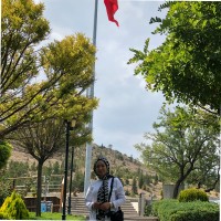 İclal Hamurcu