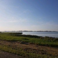 Margreet Blees