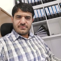 Ali Hussain Acca, Uae Chartered Accountant